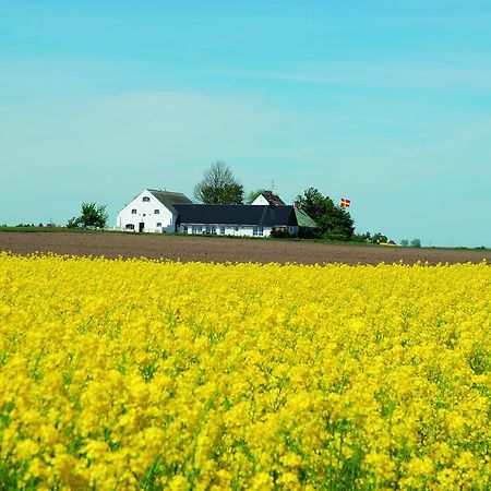 Vallebergaslaett Loderup Экстерьер фото