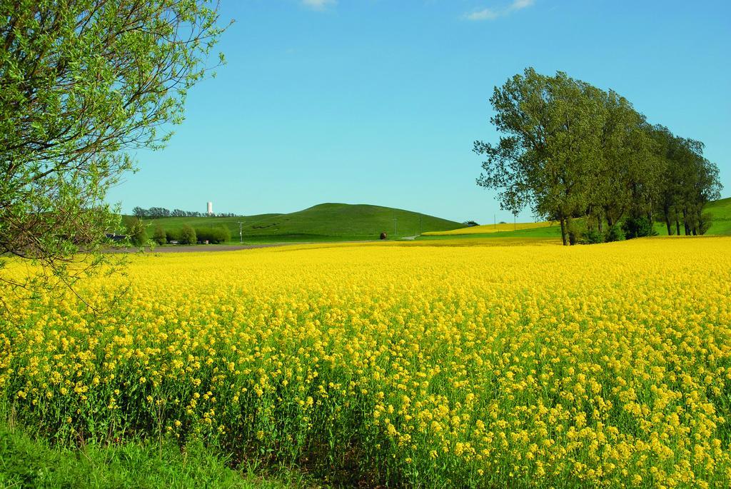 Vallebergaslaett Loderup Экстерьер фото
