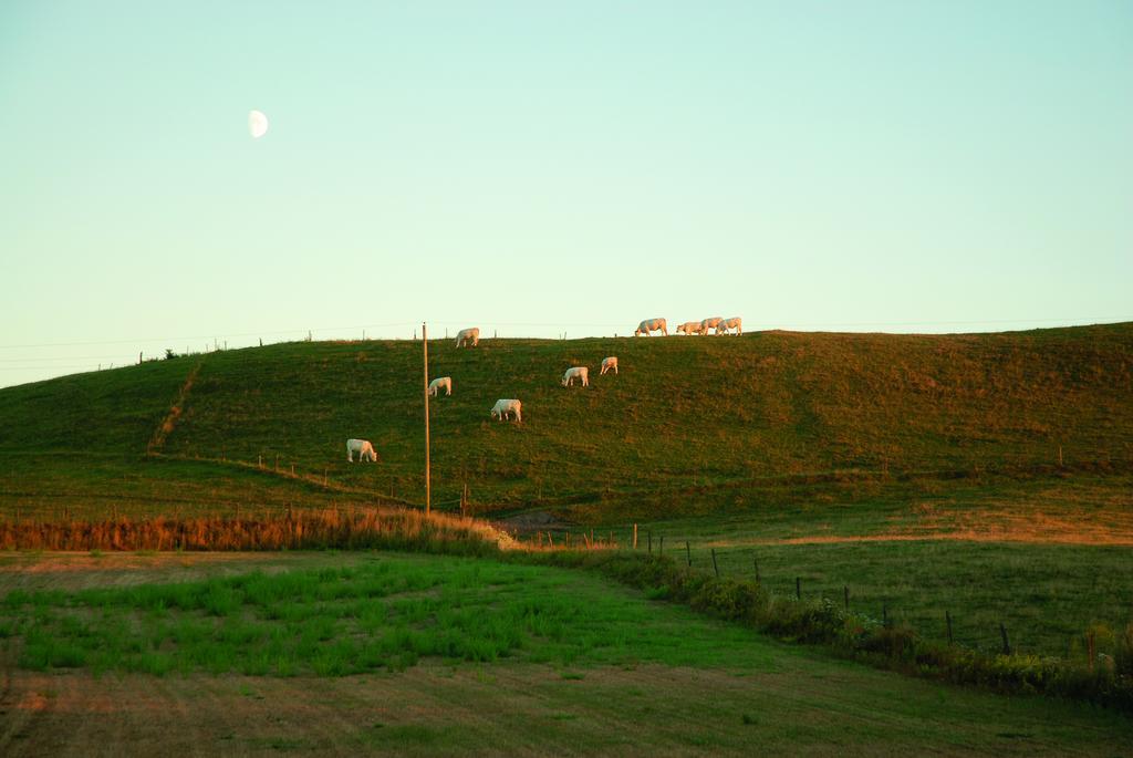 Vallebergaslaett Loderup Экстерьер фото